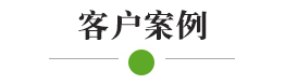 成功案例